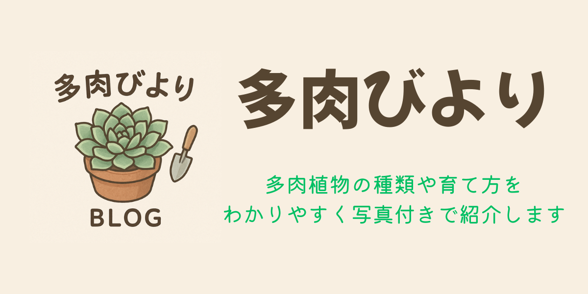 多肉びより link